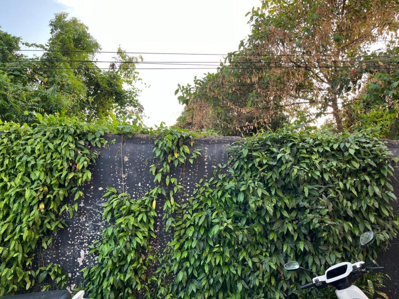 Nirman Homestay 5 Minutes Walk To Beach Puri Exterior foto